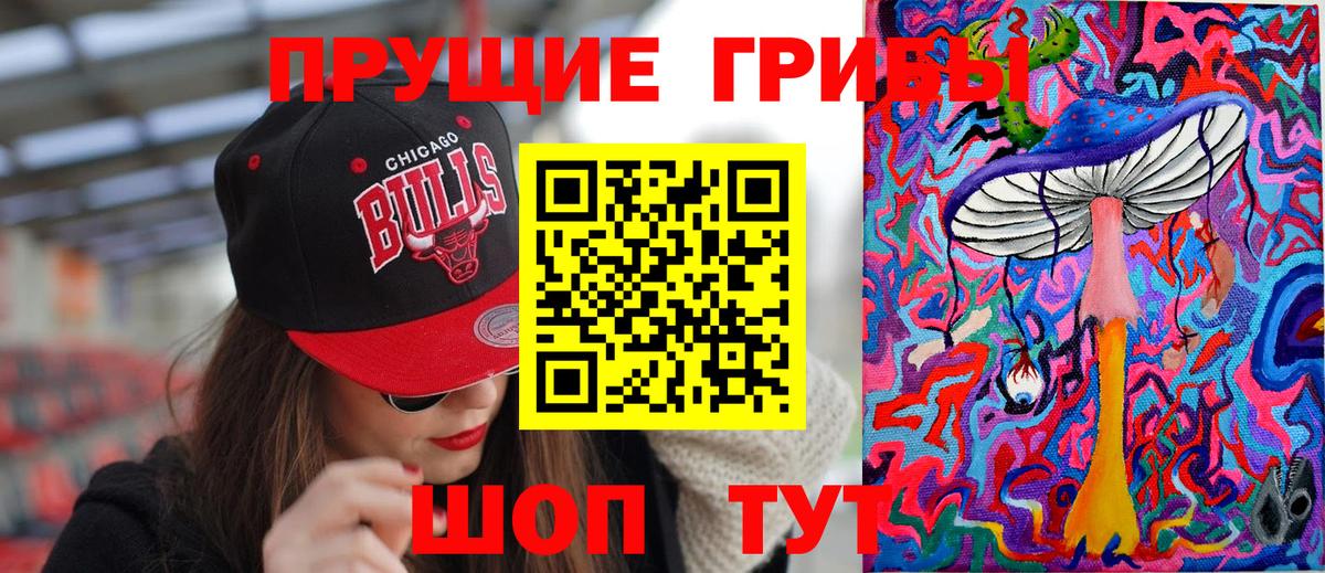 Таганрог  Псилоцибиновые грибы Cubensis  Вход с VPN  Псилоцибиновые грибы ЛСД 